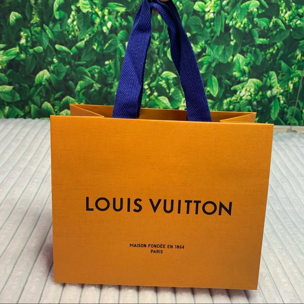 Louis Vuitton Small Empty Shopping Gift Bag